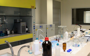 Guida a 400 Integratori: Dose Massima Giornaliera e Rischi di Laboratorio